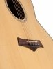 Arrow Platinum J CE SIT RW Sitka Rosewood